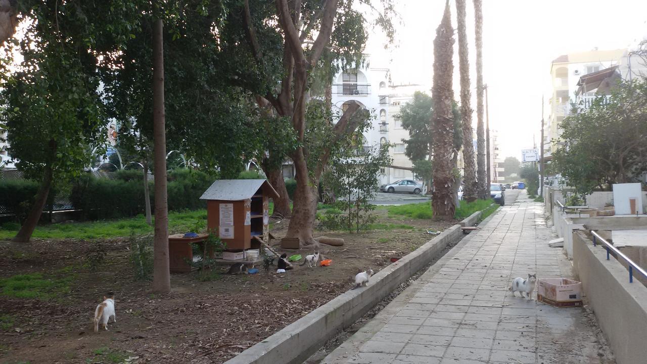 Lca2 Flat For You Apartment Λάρνακα Εξωτερικό φωτογραφία